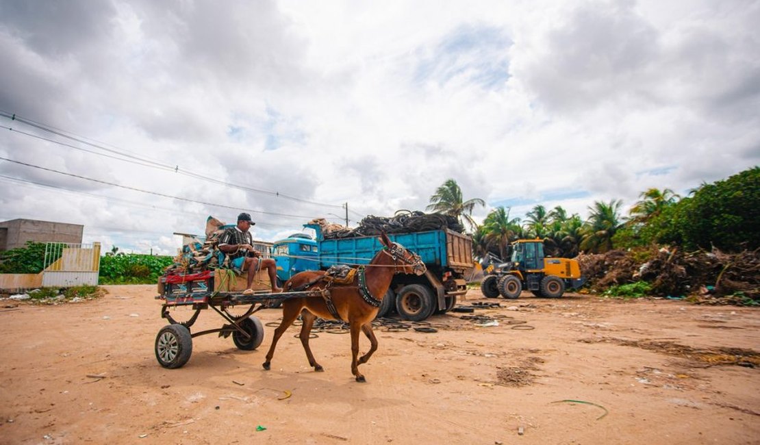 Prefeitura de Arapiraca convoca carroceiros para realizar cadastro obrigatório
