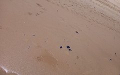 Praias de Japaratinga passaram por limpezas