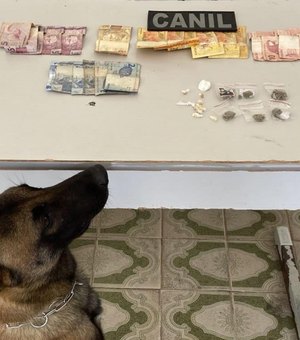 Abordagem com cão da Polícia Militar em Arapiraca resulta em prisão por tráfico de drogas