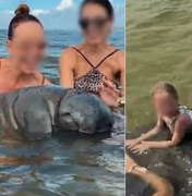 Turistas molestam peixe-boi e colocam criança em cima do animal no Norte de Alagoas