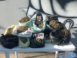 Polícia Militar apreende 21 quilos de maconha após denúncia em Arapiraca