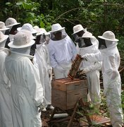 Governo garante R$ 1,1 milhão para a apicultura em Alagoas
