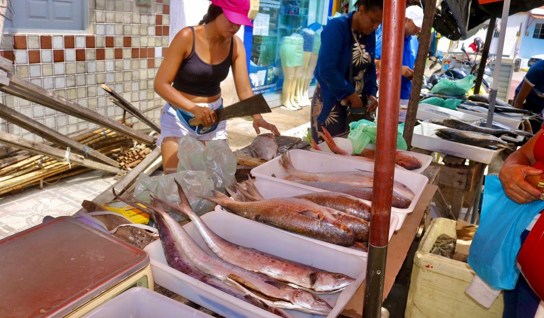 Feira do Peixe promete aquecer vendas de feirantes em Maragogi