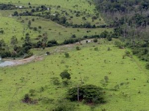 Prazo de entrega da Declaração do ITR acaba hoje