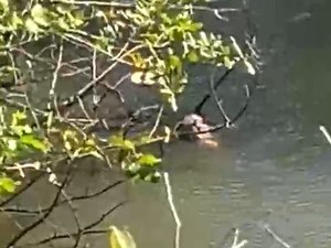 Corpo é encontrado em rio no povoado Santa Luzia, na Barra de Santo Antônio