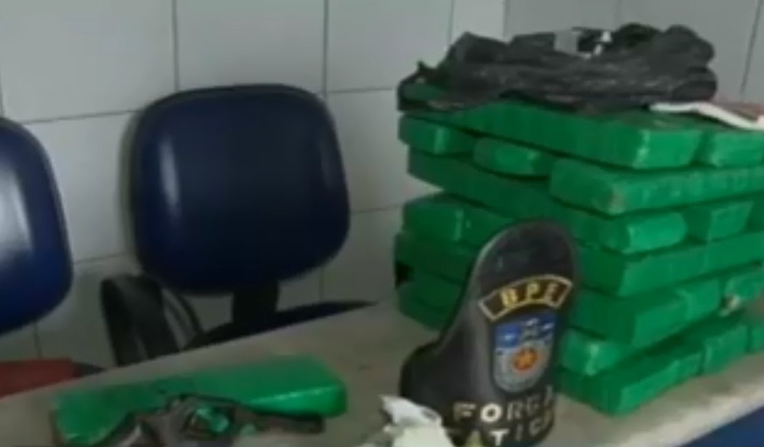 Polícia apreende 23 tabletes de maconha enterrados em quintal 