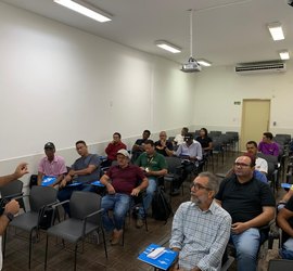 O Doce Potencial do Baixo São Francisco: Apicultura se fortalece e abre novos caminhos para o empreendedorismo rural