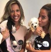 Anitta e Luisa Mell resgatam cães abandonados em estrada de SP 