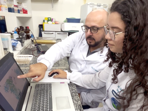 Pesquisa financiada pela Fapeal desvenda a evolução genética do vírus chikungunya em Alagoas