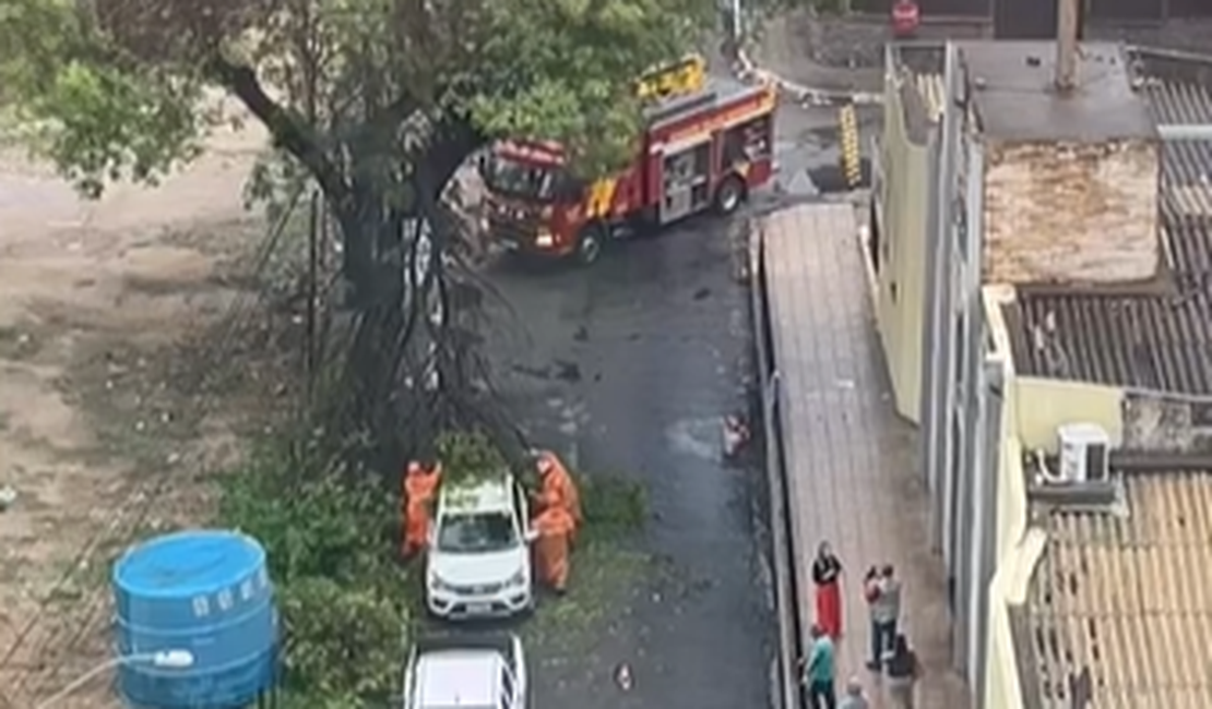 [Vídeo] Árvore desaba sobre carro estacionado no bairro da Jatiúca, em Maceió