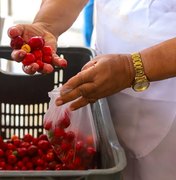 Governo de AL regulamenta Política Estadual da Agroecologia e Produção Orgânica