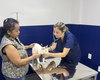 HC Pet muda histórias e leva mais saúde e dignidade aos pets de Maceió