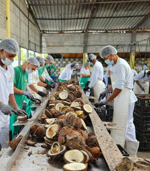 Edital prioriza cooperativas tradicionais no abastecimento de escolas indígenas e quilombolas