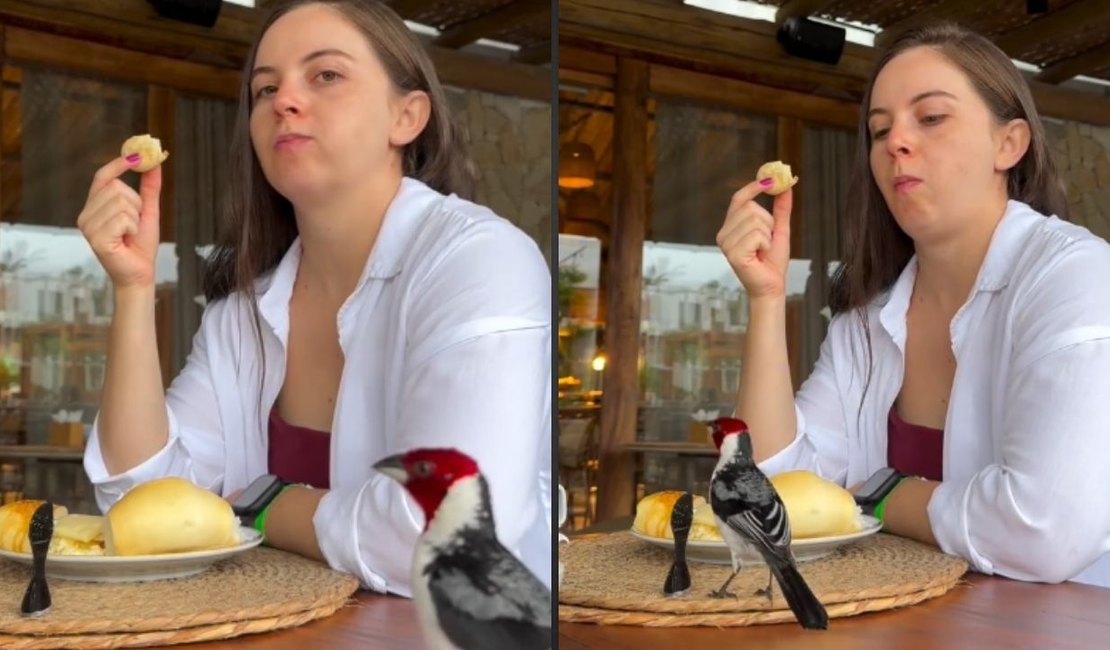 Ave rouba café da manhã de turista em Ilhéus e vídeo viraliza na web