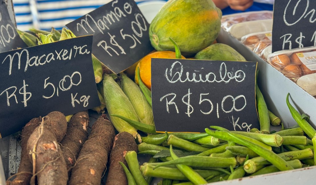 Feira da Agricultura Familiar em Murici terá participação de produtores de oito municípios