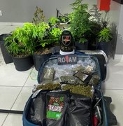 PM desarticula laboratório de drogas e localiza plantio de maconha na Barra Nova