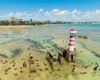 Entenda porque Alagoas não deve sofrer com onda de calor e ar seco