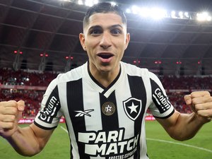 Confira as chances de título de Botafogo e Palmeiras após 37ª rodada