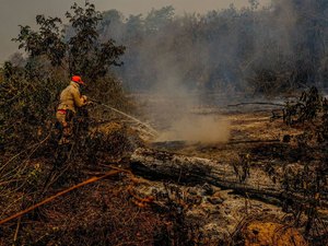Perícia afirma que incêndio no Pantanal do Mato Grosso foi intencional