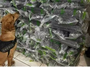 Cachorro policial especialista em drogas é batizado 'Maradona' em MS