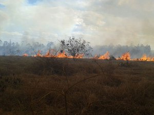 Incêndio em vegetação assusta moradores de povoado em Coité do Nóia
