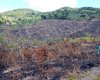 IMA alerta população sobre riscos de queimadas durante período seco e de baixa umidade em AL