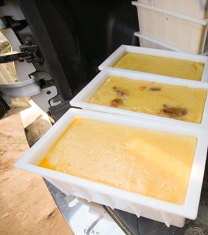 [Vídeo] Fábrica de queijo funcionava ao lado de pocilgas em Batalha, segundo FPI