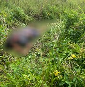 Mulher é retirada à força de casa e executada no município de Rio Largo