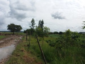 Técnicos do IMA monitoram recuperação de áreas degradadas em Satuba