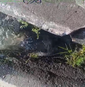 [Vídeo] Moradores denunciam vazamento de água há três dias na Avenida Rotary, em Maceió