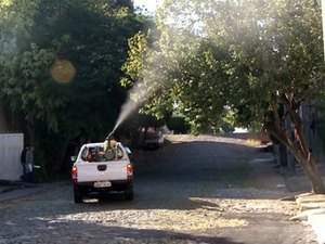 Sem carro fumacê, surto de Dengue aumenta em Arapiraca