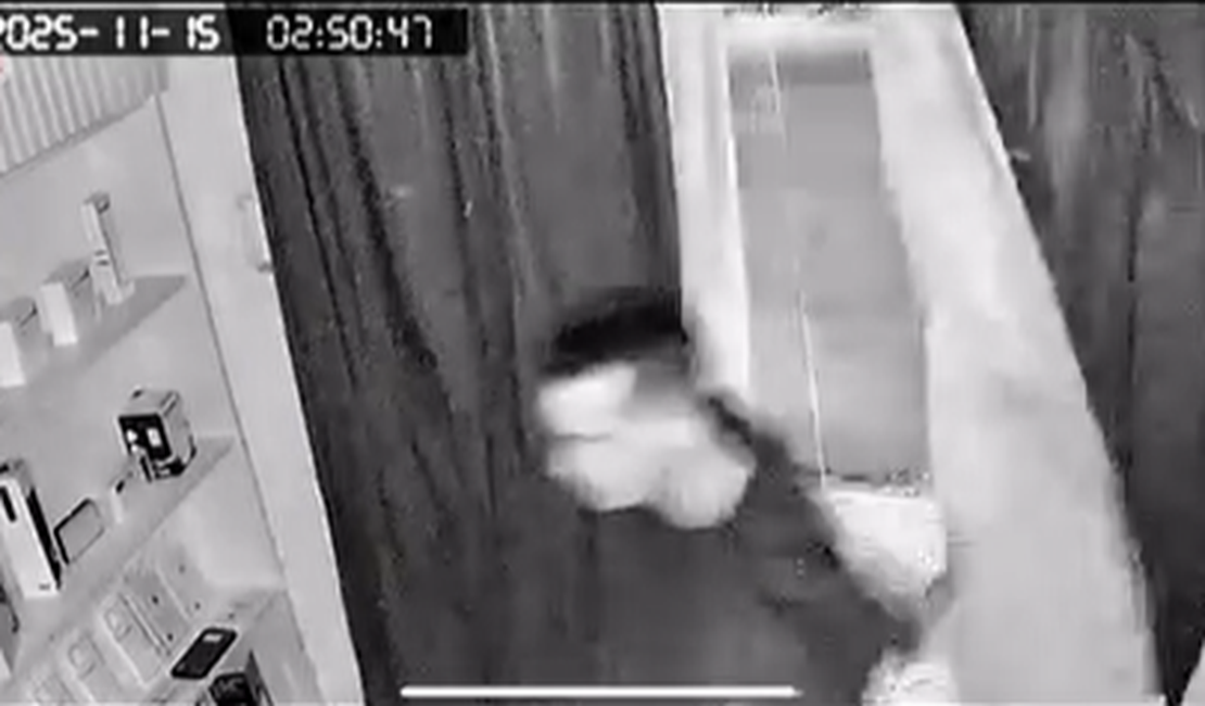 Loja de acessórios é arrombada em Maceió e proprietário lamenta prejuízo: 'seguir em frente e reconstruir'