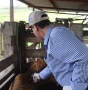 Raiva Animal: Adeal alerta sobre a importância da vacinação dos animais