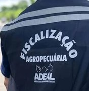 Edital do concurso da Adeal é divulgado com 44 vagas e salários de até R$ 7,3 mil