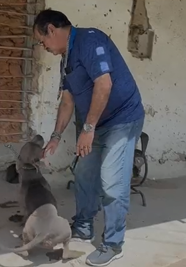 Após denúncia, Polícia Civil resgata cães vítimas de maus-tratos em Dois Riachos