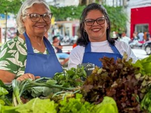 Hortaliças substituem fumo e transformam economia no Agreste de Alagoas