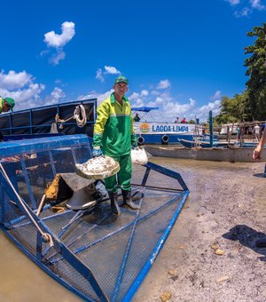 JHC lança ecoboat para atuar na limpeza da lagoa