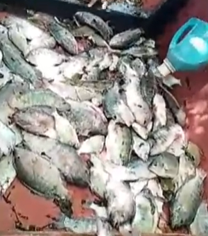Escassez do peixe bagre afeta pescadores de Pilar