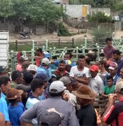 Sob manifestação, porcos são aprendidos em feira de animais no Sertão de Alagoas