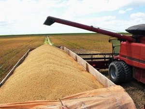 Alagoas promove última colheita de soja