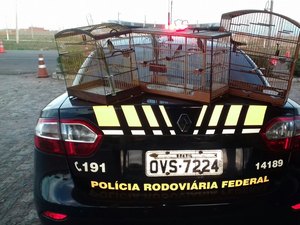 Dois são presos por transporte ilegal de animal silvestre e porte de arma de fogo