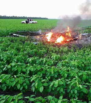 Duas pessoas morrem após avião cair em plantação de soja e pegar fogo 