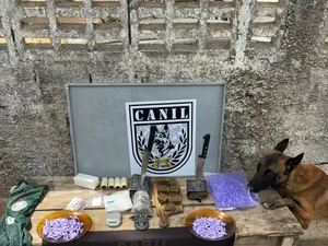 Polícia apreende maconha e cocaína em matagal de Arapiraca