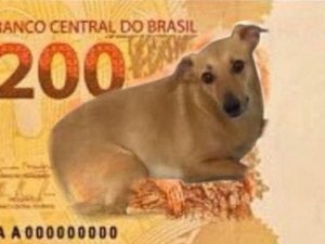 Após nota de R$ 200, Banco Central estuda ação com vira-lata caramelo