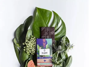 Cacique sonha em montar fábrica de chocolate dentro de aldeia