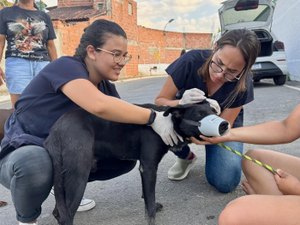 Lei estadual que garante proteção e o bem-estar dos animais já está em vigor