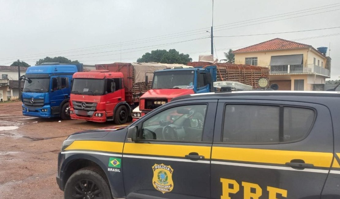 PRF apreende 31 mil tijolos por crime tributário em São Sebastião