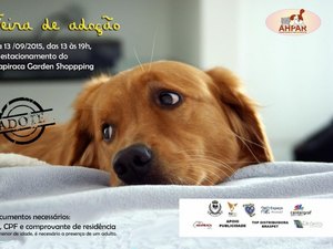 Associação promove feira de adoção de cães e gatos em Arapiraca