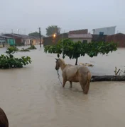 AL tem o 3º maior número de casas danificadas e destruídas por desastres naturais do NE