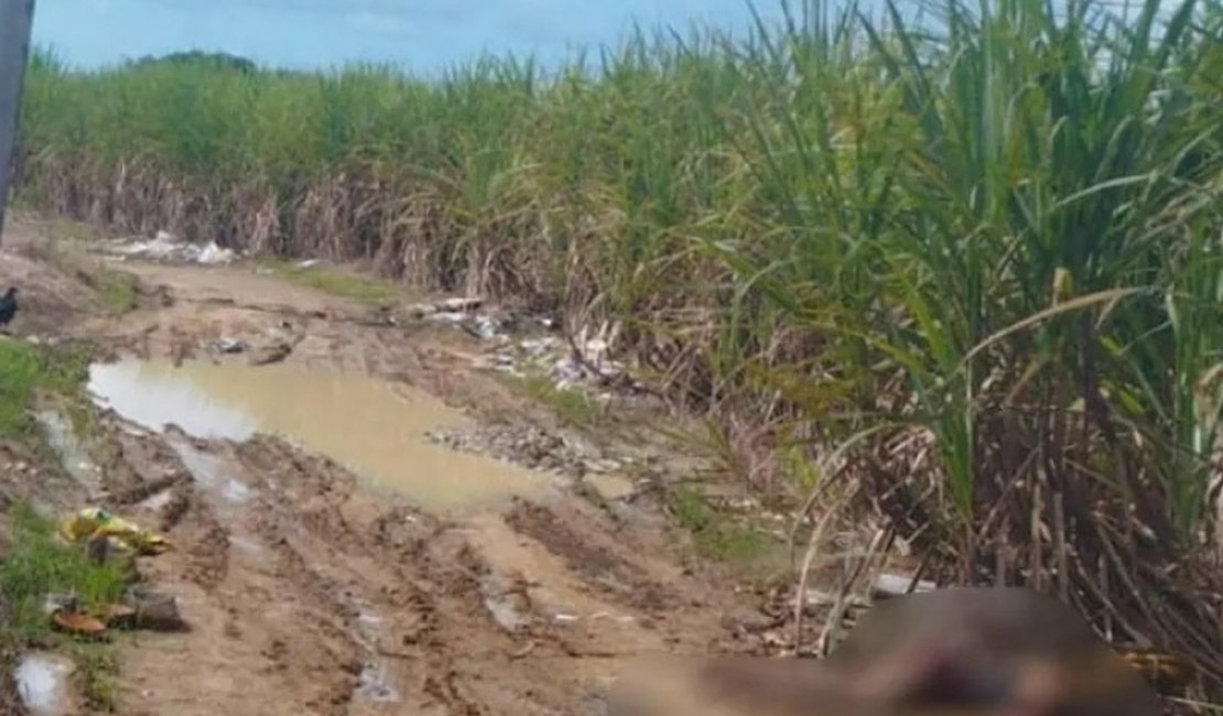 Mulher é encontrada morta em canavial no Benedito; sinais de violência